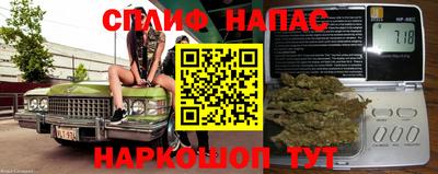 тгк Дубна