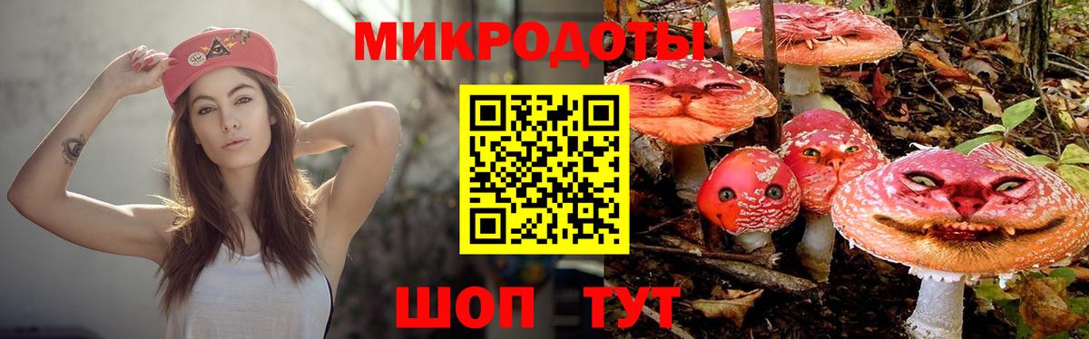 Псилоцибиновые грибы мицелий  Вход с VPN  Петровск 